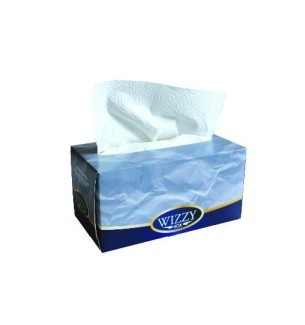 Essuie-tout Wizzy Box