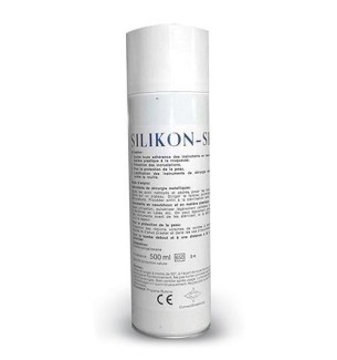 Lubrifiant Silikon Spray