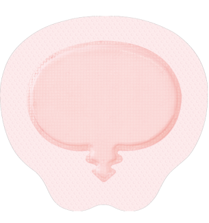Pansement Sacrum Allevyn Gentle Border 23 x 21.6 cm