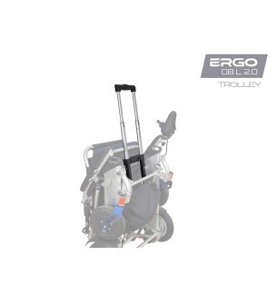 Trolley avec poignée télescopique